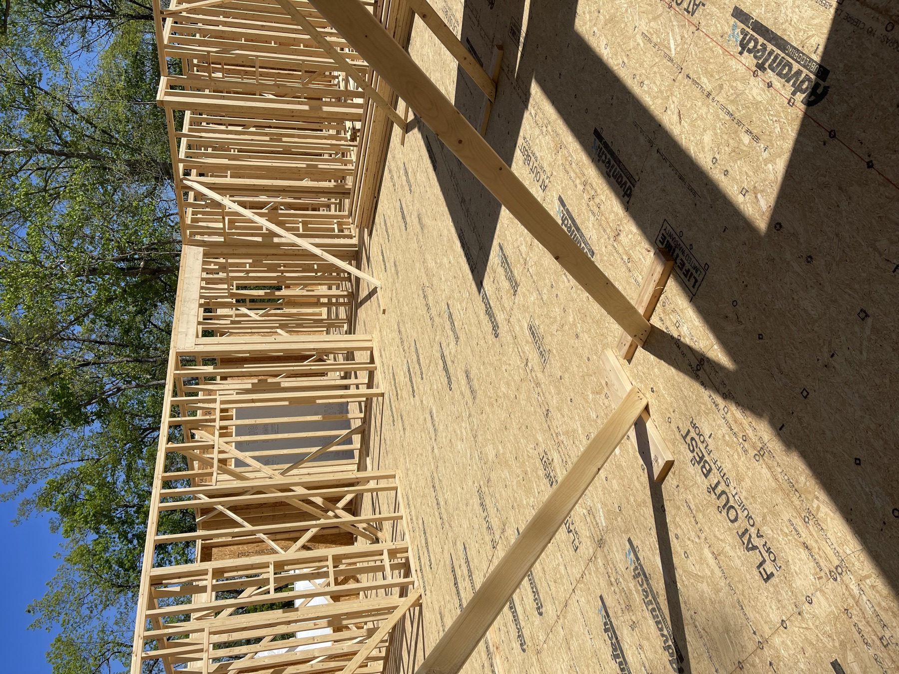 Interior walls being framed for a custom home on a wooded lot
